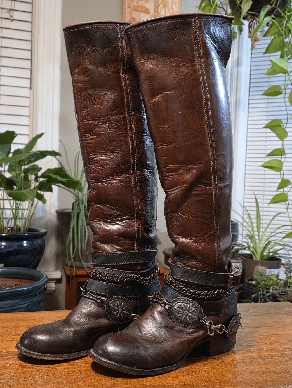 Freebird Knee High Boots